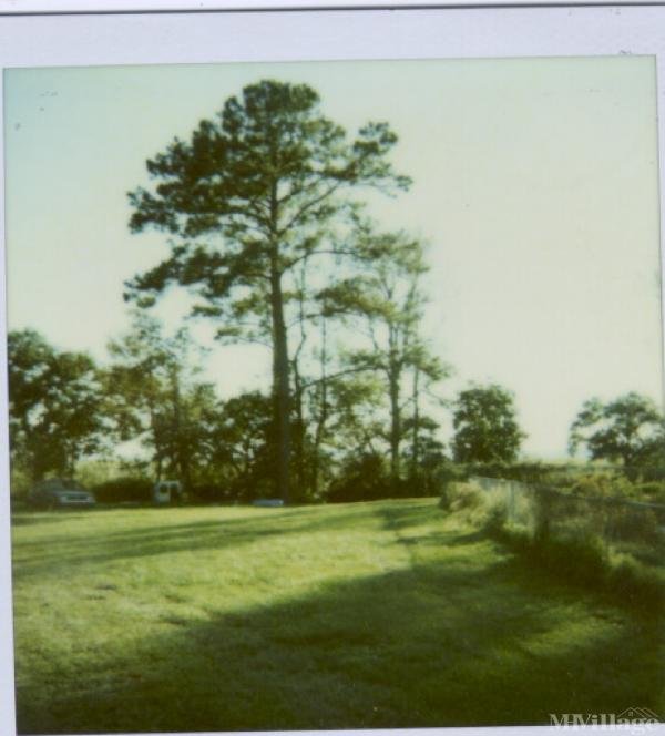 Photo 1 of 1 of park located at Highway 280 Beaufort, SC 29902