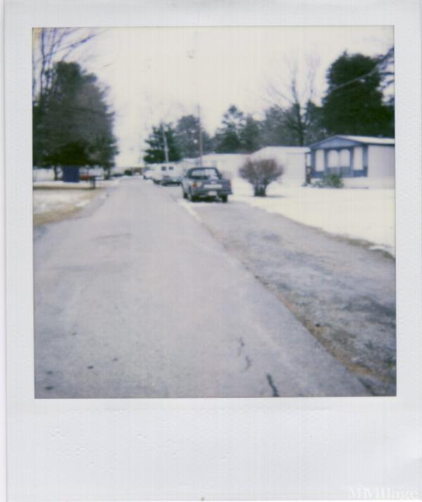 Pine Tree Village Mobile Home Park In Roanoke Va Mhvillage