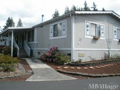 Photo 4 of 20 of park located at 2370 Farman Street North Enumclaw, WA 98022