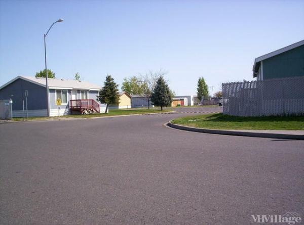 Photo 1 of 2 of park located at 925 North Elm Avenue Pasco, WA 99301