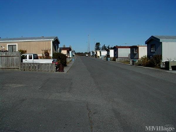 Photo of Terry Mobile Park, Coupeville WA