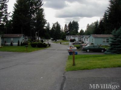 Photo 2 of 12 of park located at 9101 218th Street Court East Graham, WA 98338