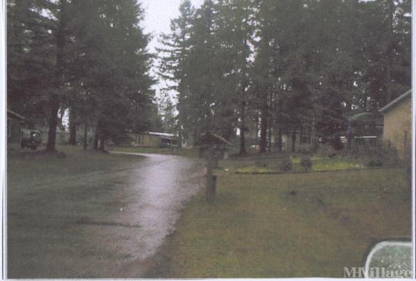 Photo 1 of 2 of park located at 17340 Sargent Rd SW Rochester, WA 98579