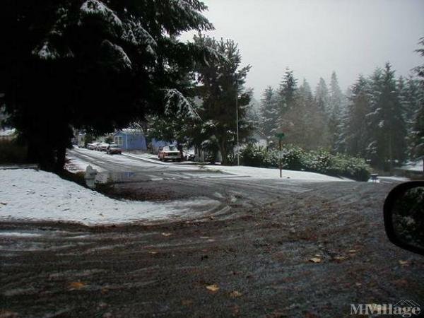 Photo 1 of 2 of park located at 3224 164th Ave Bonney Lake, WA 98391