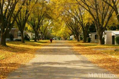 Photo 5 of 11 of park located at 7801 88th Ave Pleasant Prairie, WI 53158