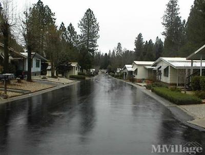 Photo 4 of 5 of park located at 62 Primrose Lane Grass Valley, CA 95945