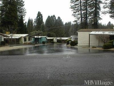 Sierra Pines Mobile Home Park in Grass Valley, CA | MHVillage