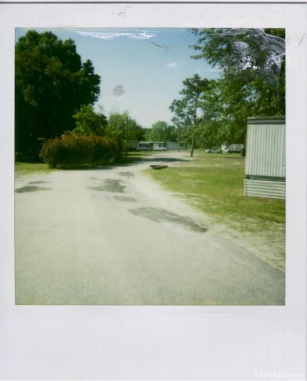 Nassau Acres Mobile Home Park Mobile Home Park In Yulee Fl Mhvillage Nassau Acres Mobile Home Park Mobile Home Park In Yulee Fl Mhvillage