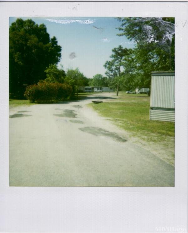 Photo 1 of 1 of park located at 5291 Pages Dairy Road Yulee, FL 32097