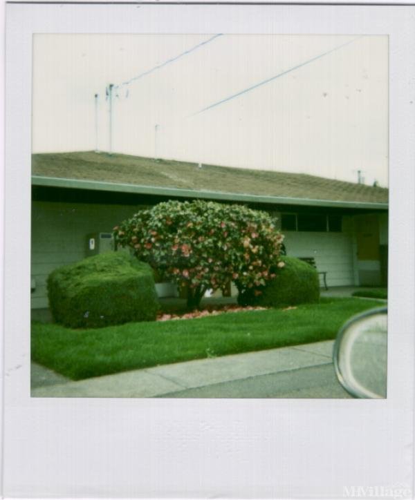 Photo of Rockwood Mobile Home Court, Portland OR