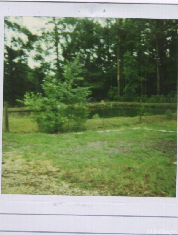 Photo 1 of 1 of park located at 571 North Spillway Road Farmerville, LA 71241