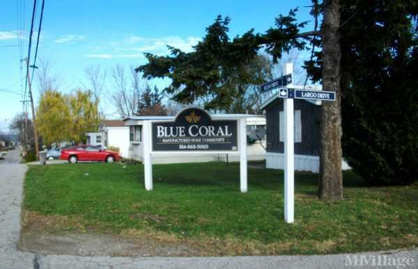 Photo of Blue Coral, Erie PA