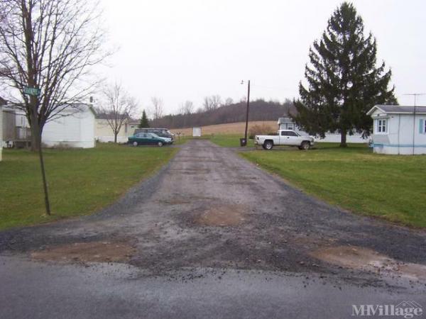 Photo 1 of 2 of park located at Carner Rd Port Byron, NY 13140