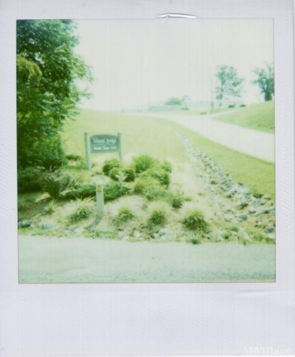 Photo of Mineral Springs Mobile Home Park, Vinton VA