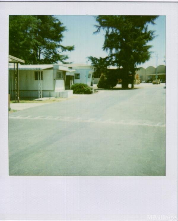Photo 1 of 2 of park located at 4501 North Wilson Way Stockton, CA 95205