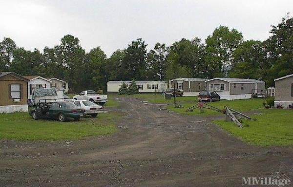 Photo of Beaver Springs Mobile Home Park, Davenport NY
