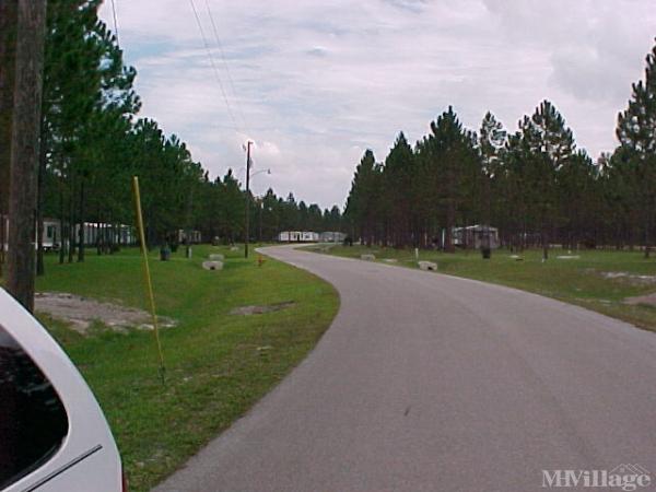 Photo 1 of 1 of park located at Rt 7 Box 377 Lake City, FL 32025