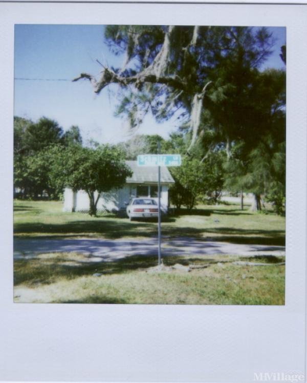 Photo 1 of 2 of park located at 5536 Belveal Road Dover, FL 33527