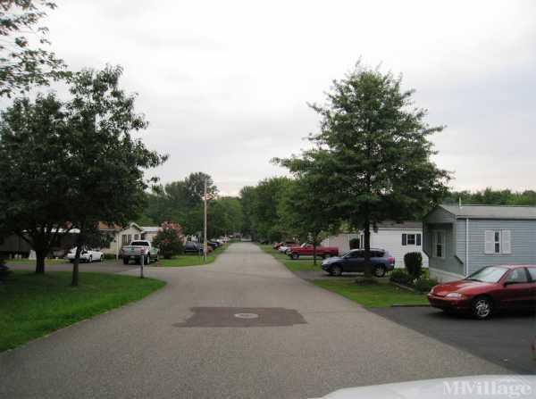 Photo of Coventry Terrace, Spring City PA