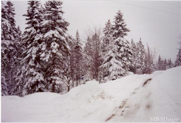 Photo 1 of 2 of park located at Route 3 Pittsburg, NH 03592