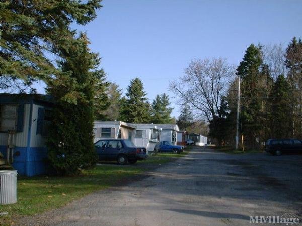 Photo of Blue Spruce Mobile Home Park, Central Square NY