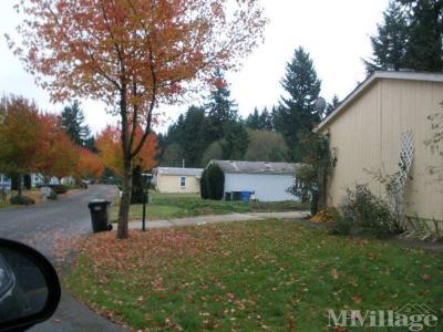 Photo 4 of 16 of park located at 4600 17th Lane NE Lacey, WA 98516
