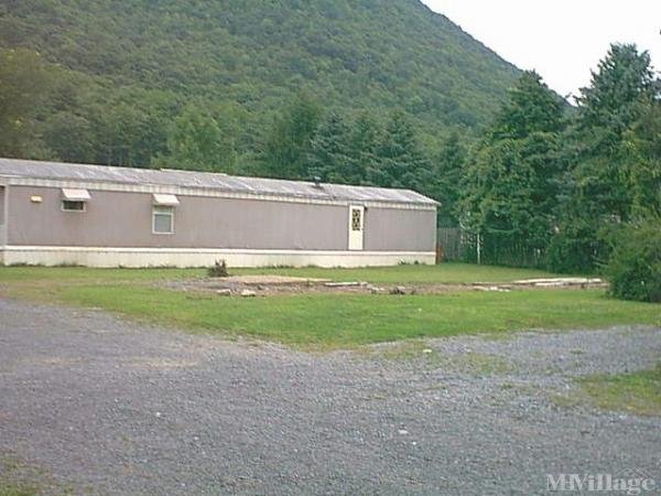 Photo of C and M Mobile Home Park, Trout Run PA