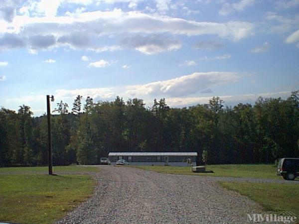 Photo 1 of 1 of park located at 351 Calm Trail State Road, NC 28676