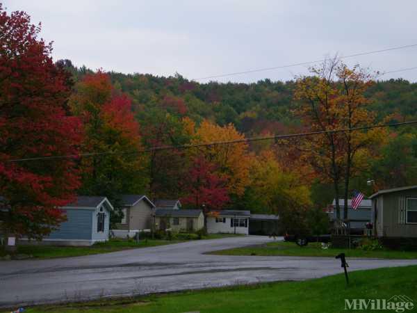 Photo 1 of 2 of park located at 29 Mccoy Rd Harpursville, NY 13787