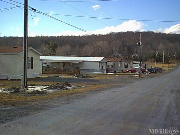 Photo 1 of 1 of park located at Maple Montrose, PA 18801