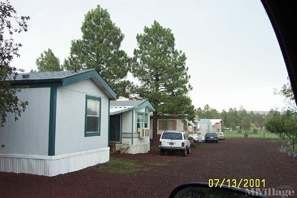 Photo of Homestead Mobile Home Park, Lakeside AZ
