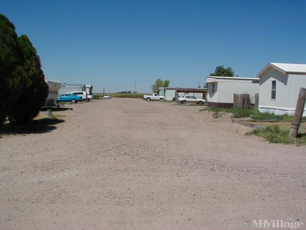 Photo 1 of 1 of park located at 101 South Lynch Street Holcomb, KS 67851