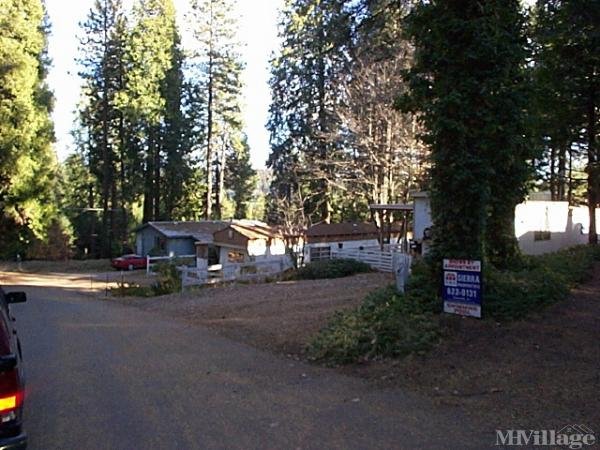 Photo of Whispering Pines, Pollock Pines CA