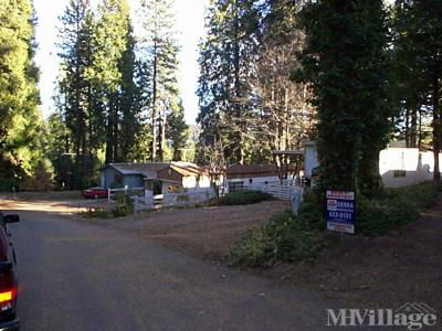 Mobile Home Park in Pollock Pines CA