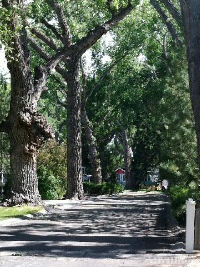 Photo 3 of 8 of park