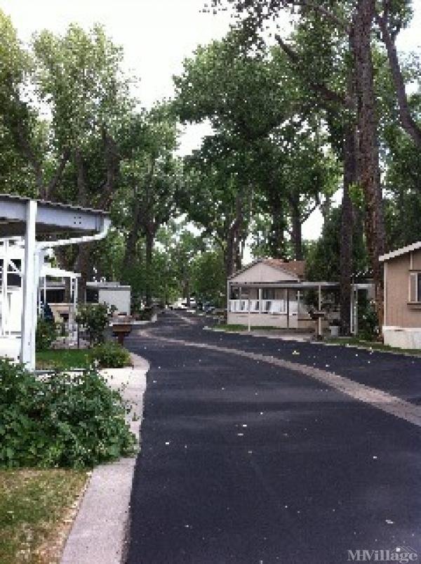 Cottonwood Mobile Home Park in Carson City, NV | MHVillage