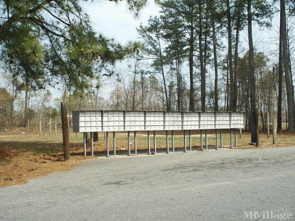 Photo 1 of 2 of park located at 113 Arrowhead Cr Lot 113 Como, NC 27818