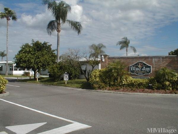 Photo 1 of 1 of park located at 2755 Curlew Road Palm Harbor, FL 34684