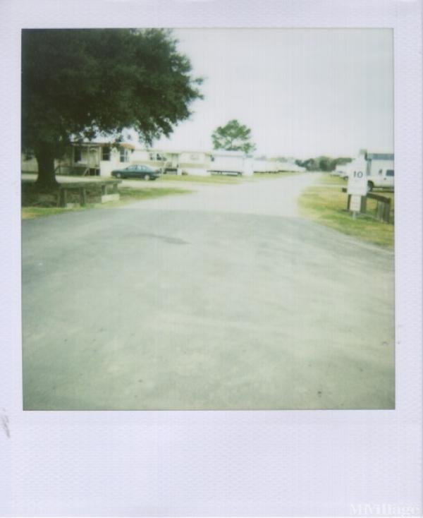 Photo 1 of 1 of park located at 2321 Mills Street Lafayette, LA 70507