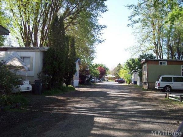 Photo of Rustic Mobile Home & Rv Park, Central Point OR