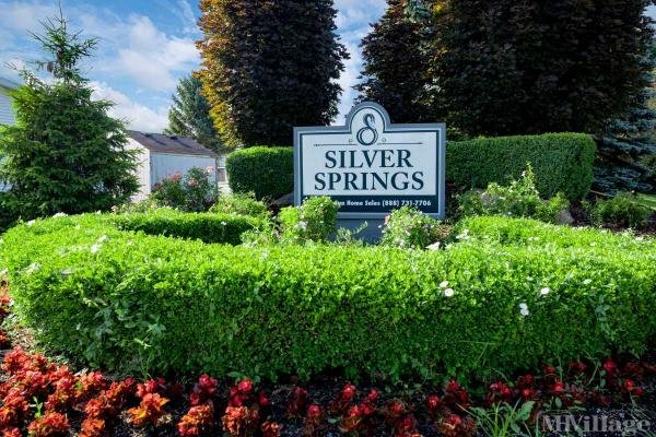 Photo of Silver Springs, Clinton Township MI