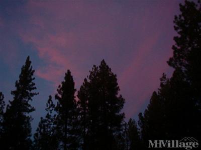 Photo 2 of 18 of park located at 475 Thrush Drive, Park Office Big Bear Lake, CA 92315