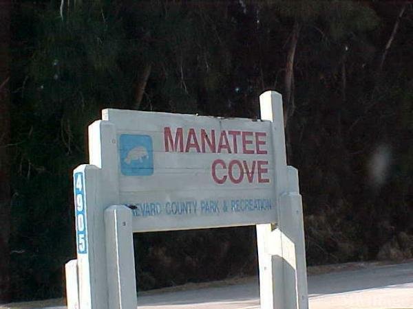 Photo of Manatee Cove, Merritt Island FL
