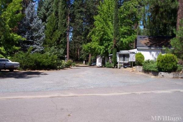 Photo of Caveman Mobile Home Park, Grants Pass OR