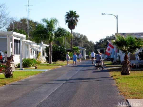 Photo 1 of 2 of park located at 37251 Chancey Road Zephyrhills, FL 33541