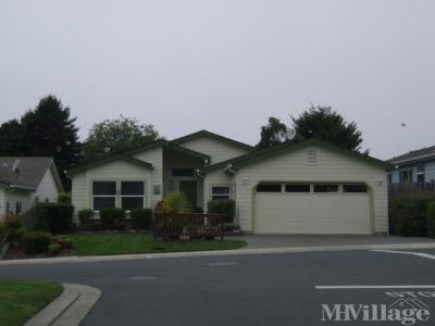 Photo 5 of 5 of park located at 98126 W. Benham Lane Brookings, OR 97415