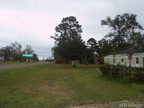 Photo 1 of 2 of park located at Highway 1013 Cr 4547 Spurger, TX 77660