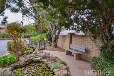 Photo 5 of 11 of park located at 2473 Sunrise Boulevard Rancho Cordova, CA 95670