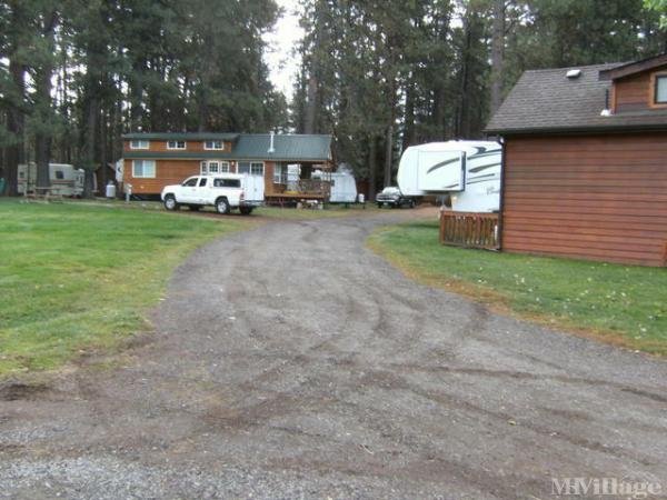 Photo 1 of 2 of park located at 25615 Cold Springs Resort Ln Camp Sherman, OR 97730