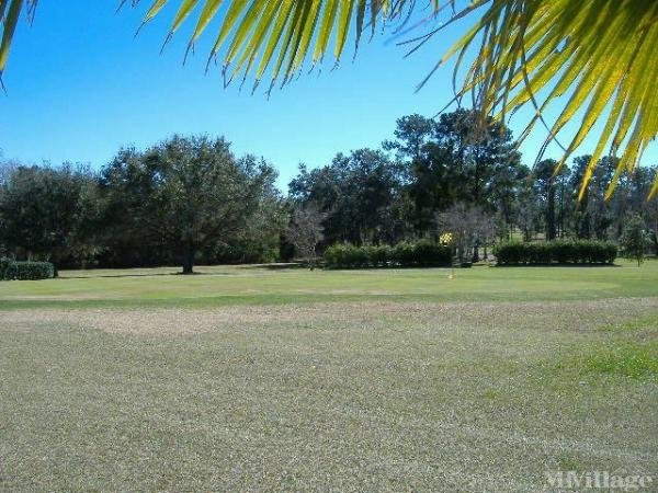 Photo 1 of 2 of park located at 29129 Johnston Rd Dade City, FL 33523